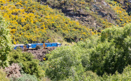 Two diesel engine locomotives pull train and coaches of Taieri Gorge tourist railway up the valleyの写真素材