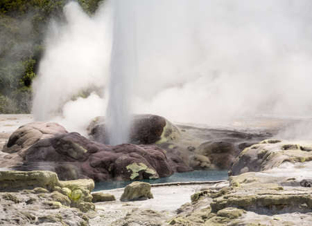Whakarewarewa is a geothermal area within Rotorua city in the Taupo Volcanic Zone of New Zealand