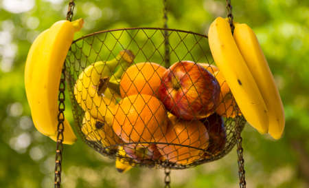 Wire mesh basket of bananas, apples and oranges hanging from street vendor truck on sidewalk showing...