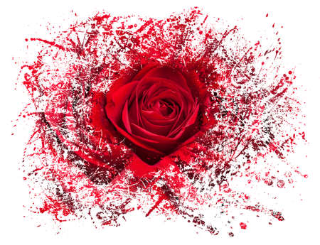 Detailed close shot of velvet red rose breaking into many pieces to suggest either a breakup or perhaps excitement as the rose devolves into abstract illustrationの写真素材