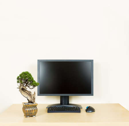 Small old bonsai tree in golden pot on plain wooden desk with computer monitor and keyboard to suggest calm, organization and meditation at workの写真素材