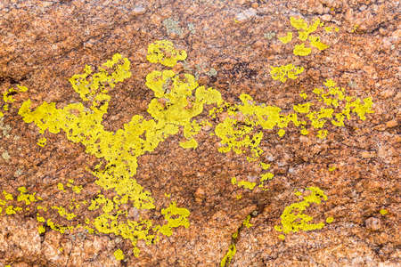Lichen forms interesting patterns of pink orange granite rocks in Colorado mountainsの写真素材