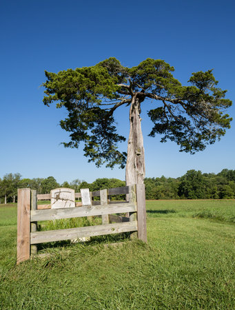 Grave of Lafayette Meeks at Appomattox site of the surrender of Southern Army under General Robert E Lee to Ulysses S Grant April 9, 1865のeditorial素材