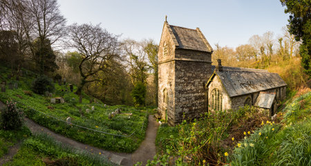 Ancient norman parish church in woodland in Minster, Boscastle, Cornwall, England, UKのeditorial素材