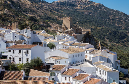 Olive trees in rows reaching to the far distance on hills and mountain sides surround Zuheros in...