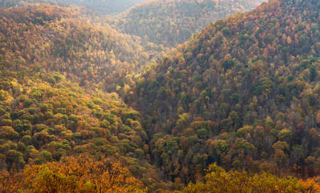 View of hills covered with fall trees from Raven Rock overlook at Coopers Rock State Forest West Virginiaの写真素材