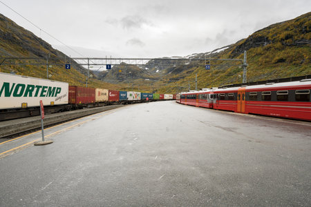 MYRDAL, NORWAY - 21 SEPTEMBER 2017: Passenger and freight trains wait at the Myrdal railway station in Norwayのeditorial素材