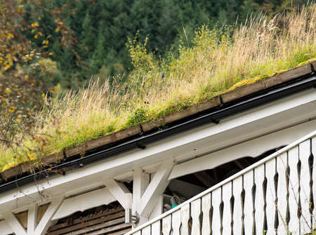 Grass and turf used as roofing material on Norwegian homes and stableの写真素材