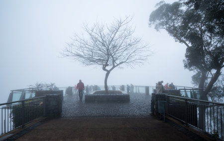 FUNCHAL, MADIERA - MARCH 12, 2018: Tourists lost in mist at Cabo Girao sea cliff near Funchal on...