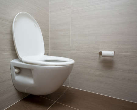 Modern flush toilet or WC in small bathroom with push button flushの写真素材