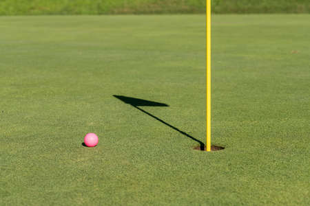Pink colored golf ball by the flag and hole on putting green as concept for women golfersの写真素材