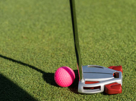 Pink colored golf ball with putter on the edge of the putting green as concept for women golfersの写真素材