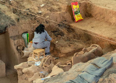 XIAN, CHINA - 17 OCTOBER 2018: Archeologist inside building housing the pottery terracotta army warriorsのeditorial素材