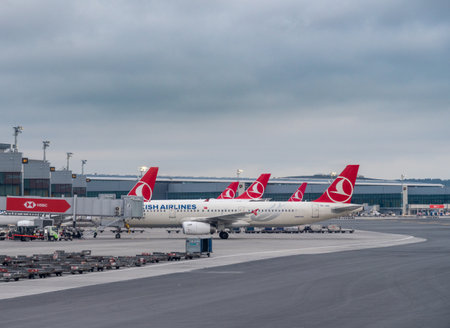 ISTANBUL, TURKEY - 3 MAY 2019:  Turkish Airlines planes at the gates of new Istanbul Airport known by IATA code as ISTのeditorial素材
