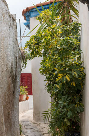 Narrow steps in ancient neighborhood of Anafiotika in Athens by the Acropolisの写真素材