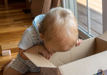 Young caucasian toddler looking and reaching inside a cardboard box with a serious expressionの写真素材