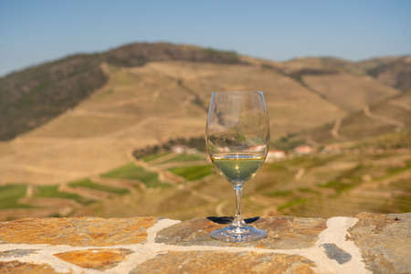 Glass of white wine for tasting above the hillsides of the Douro valley in Portugalの写真素材