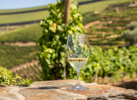 Glass of white wine for tasting above the hillsides of the Douro valley in Portugalの写真素材