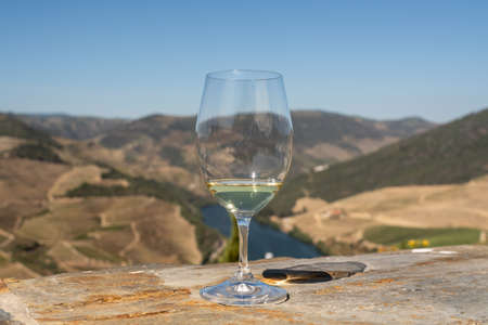 Glass of white wine for tasting above the hillsides of the Douro valley in Portugalの写真素材
