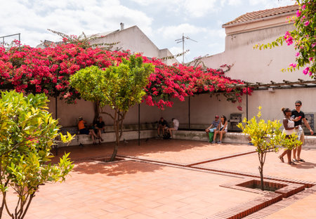 Lisbon, Portugal - 10 August 2019: Tourists rest in shade of flowering trees in cloisters of Sao Vicente de Fora church in Alfama districtのeditorial素材