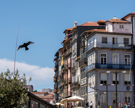 Porto, Portugal - 12 August 2019: Balconies of apartments and homes in downtown Portoのeditorial素材