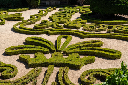 Vila Real, Portugal - 13 August 2019: Box hedges in the ornate gardens of Mateus Palace in Vila Real, Portugalのeditorial素材