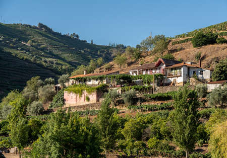 Whitewashed old Quinta or vineyard building on the banks of the River Douro in Portugal near Pinhaoの写真素材