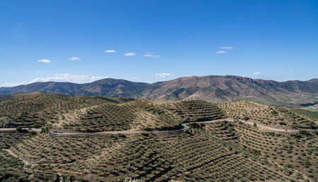 Terraces of grape vines for port wine production line the hillsides of the Douro valley at Barca de Alva in Portugalの写真素材