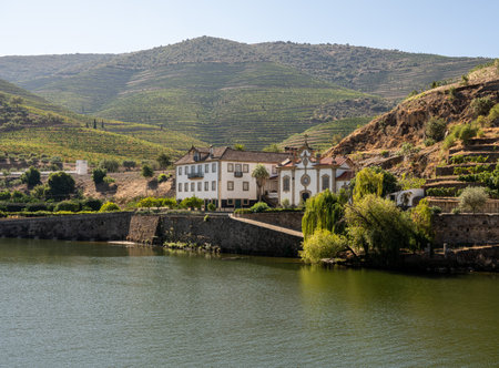 Guarda, Portugal - 14 August 2019: Quinta do Vesuvio vineyards line the hillsides of the river Douro in Portugalのeditorial素材