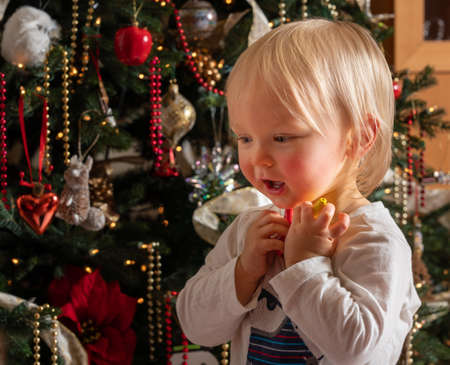 Side profile view of a young caucasian baby boy staring at the magic of an Xmas tree for the first time in wonderの写真素材