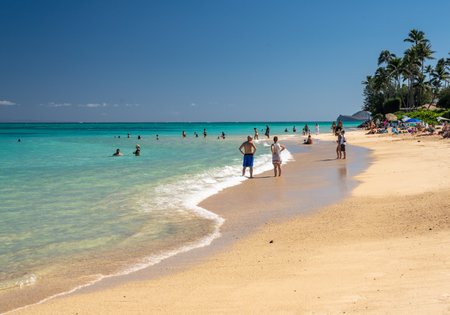 Lanakai, HI - 23 January 2020: Swimmers on Lanakai Beach on east coast of Oahu in Hawaiiのeditorial素材