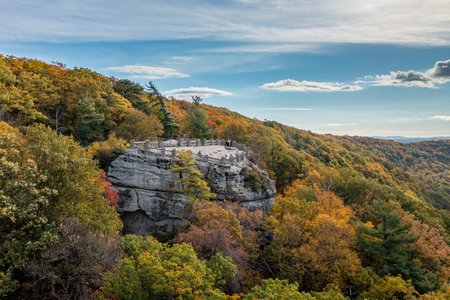 Coopers Rock state park overlook over the Cheat River in narrow wooded gorge in the autumn. Park is...