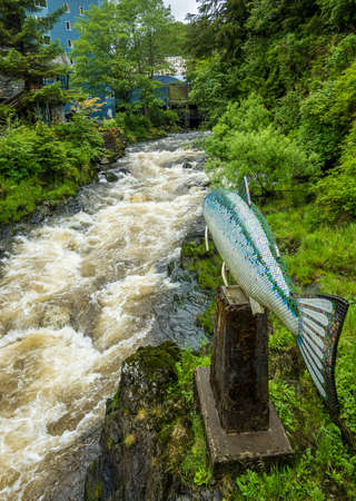 Salmon above the fast running creek in the town of Ketchikan Alaskaの写真素材