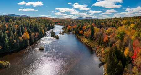 Colorful fall trees around the Saranac river near Redford in the Adirondacks in New York State in the autumnの写真素材
