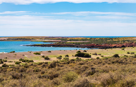Landscape of the Punta Tombo magellanic penguin colony in Chubut province Argentinaの写真素材