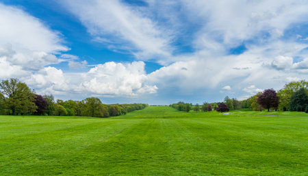 Wide grass filled view lined with trees in English parkland with dramatic skyの写真素材