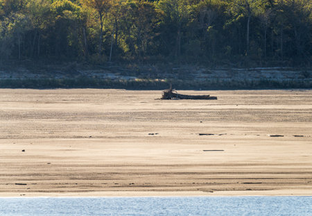 Extreme low water conditions on Mississippi river in October 2023 exposed tree trunks in Missouriの写真素材
