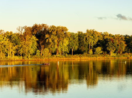 Man in powerboat gliding down Mississippi river by Minnesota in La Crosse WIの写真素材