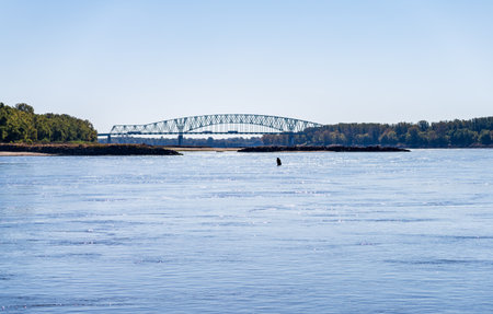 Low water levels in Mississippi River expose sand banks in front of Cairo I-57 road bridge between Illinois and Missouriの写真素材