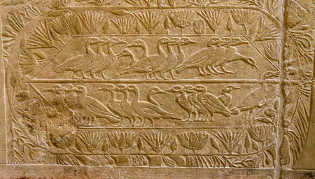 Ducks and geese carved on walls of a tomb in the Necropolis of Sakkaraの写真素材