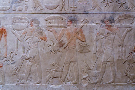 Servants with animals and birds in carvings on walls of the tomb of Kagemni, Vizier to King Teti, in the Necropolis of Sakkaraの写真素材