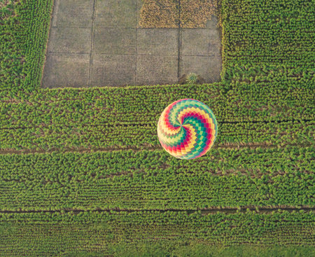 Large hot-air balloon descending to farmland near Luxor, Egpytの写真素材