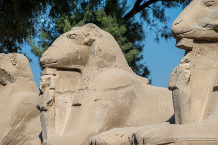 Ancient ram-headed sphinx statues stand majestically under a clear blue sky, their weathered stone faces gazing into the distance.の写真素材