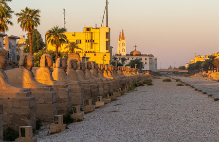 Ancient paved road in Luxor Egypt with remnants of sphinxes lining the sides, modern buildings in the background.の写真素材
