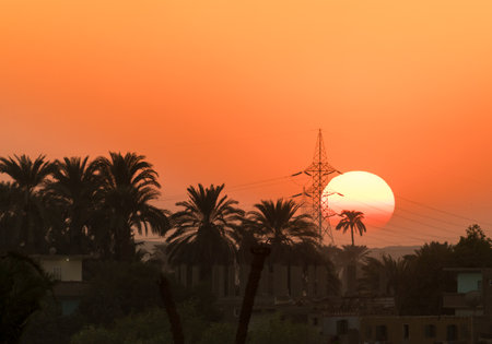 Sunset along the Nile River in Egypt, with palm trees and an electricity pylon silhouetted against the vibrant sky.の写真素材