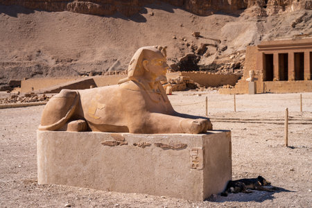 Sphinx statue in the grounds of Hatshepsut temple near Luxor, Egypt with stray dog inn the shadeの写真素材