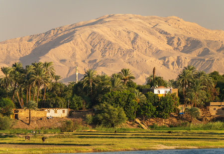 Narrow strip of farmland with village behind and large sand mountain of Sahara desert by banks of Nile Riverの写真素材