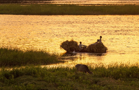 Small boy with friend and man in rowing boat loaded with vegetation on Nile Riverの写真素材