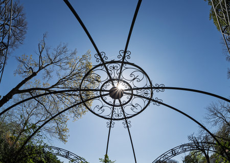 View looking up through a decorative iron gazebo roof toward a bright sun in a cloudless sky framed by trees in spring.の写真素材