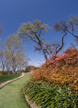 A gently curving grass path edged with stone leads towards a scenic overlook, surrounded by spring blooms and trees beneath a brilliant blue sky.の写真素材